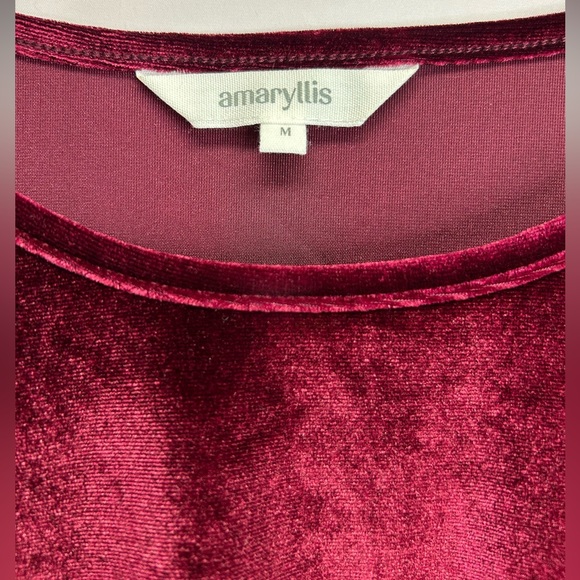 AMARYLLIS | Wine Velvet Ruffle-Accent Short-Sleeve Top (Size: Medium) - Picture 10 of 12